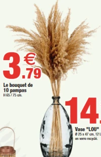 Le bouquet de 10 pampas