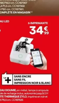 Mini imprimante thermique Zylo