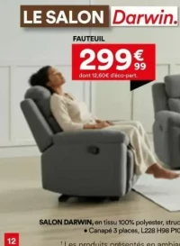 Fauteuil Darwin