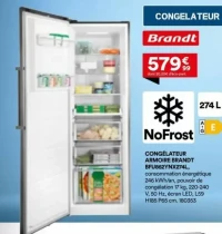 Congélateur armoire Brandt BFU862YNX274L