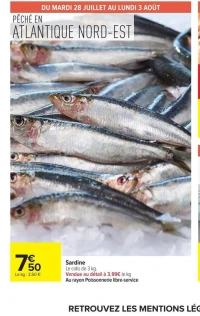 Sardine