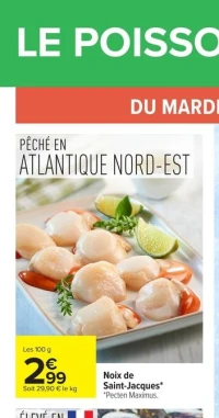Noix de Saint-Jacques *Pecten Maximus