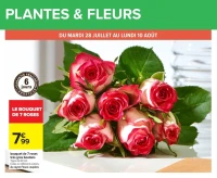 Le bouquet de 7 roses très gros boutons