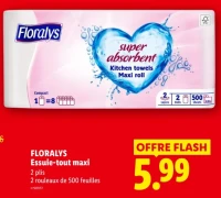 Floralys Essuie-tout maxi