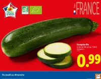 Courgette Bio