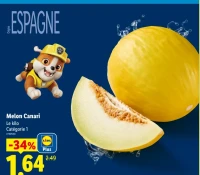 Melon Canari