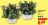 Promo Eustoma en coupe "Lisianthus"