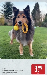 Jouet pour chien flottant Roméo