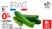 Concombre