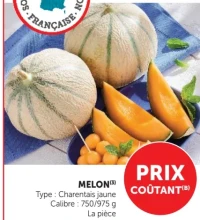 Melon Charentais jaune