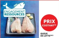 Queue de lotte