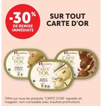 Crèmes glacées Carte d'Or