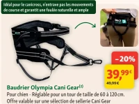 Baudrier Olympia Cani Gear