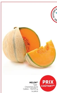 Melon Charentais jaune