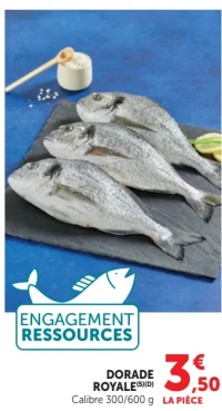Dorade Royale