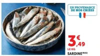 Sardine