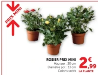 ROSIER PRIX MINI
