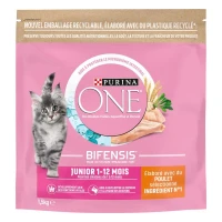 Purina ONE Croquettes Junior pour Chaton de 1 à 12 mois au Poulet 1,5 kg
