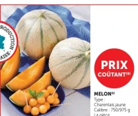 Melon