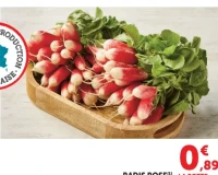 Radis Rose la botte