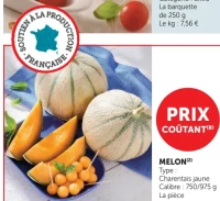 Melon Charentais jaune
