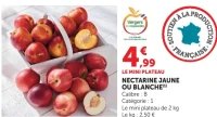 Nectarine jaune ou blanche Le Mini Plateau