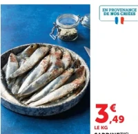 Sardine