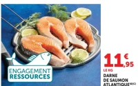 Darne de Saumon Atlantique