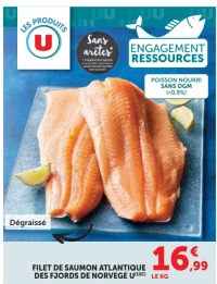 FILET DE SAUMON ATLANTIQUE DES FJORDS DE NORVEGE U