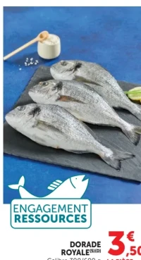 Dorade Royale