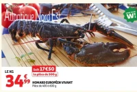 Homard européen vivant