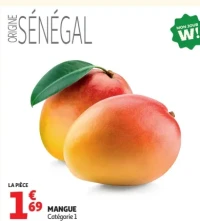 Mangue