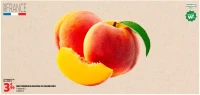 Nectarines blanches ou jaunes Bio