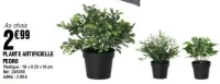 Plante artificielle Pedro