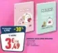 Carnet reliure spirales Molang