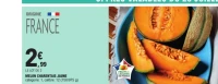 Melon charentais jaune
