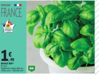 Basilic bio