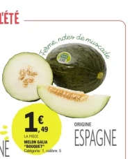 Melon Galia Bouquet