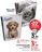 Promo Agenda scolaire Bouchut 12x17cm