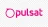logo Pulsat