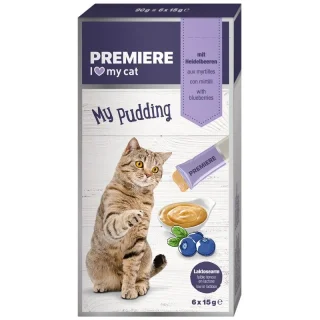 PREMIERE My Pudding Myrtille 24x15 g