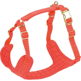 more LIFESTYLEPETS Harnais en nylon rouge L