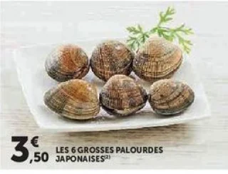 LES 6 GROSSES PALOURDES JAPONAISES