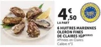 6 HUITRES MARENNES OLERON FINES DE CLAIRES IGP