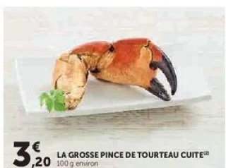 LA GROSSE PINCE DE TOURTEAU CUITE