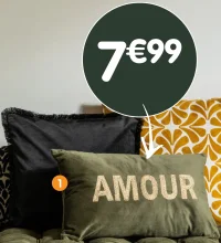 Coussin brodé - 30x50 cm