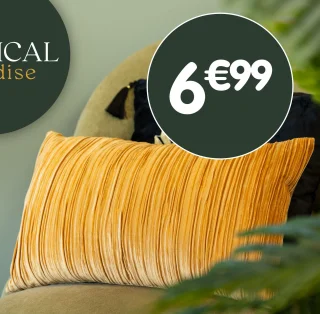 Coussin plissé