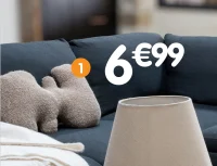 Coussin forme