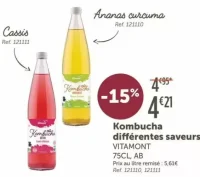 Kombucha différentes saveurs VITAMONT