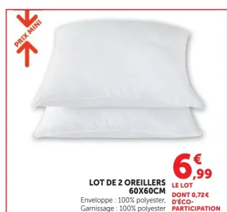 Lot de 2 oreillers 60x60cm